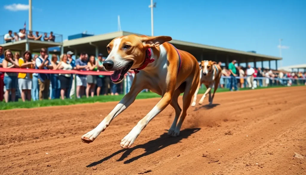 Tri-State Dog Racing Results: Shocking Wins and Unpredictable Outcomes